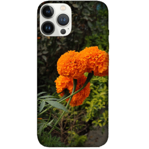 Flowers 048