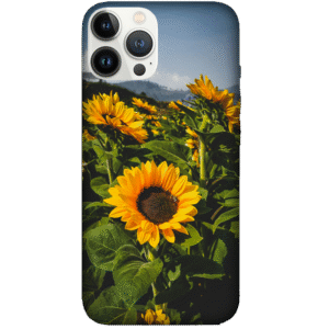 Flowers 005
