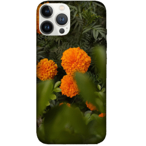 Flowers 050