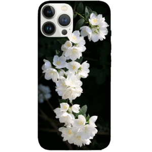 Flowers 052
