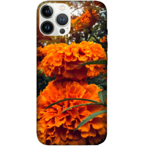 Flowers 053