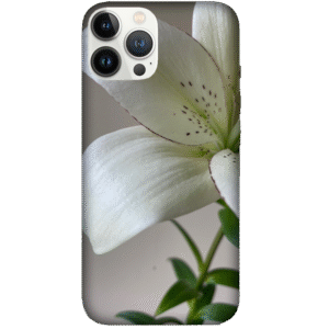 Flowers 054