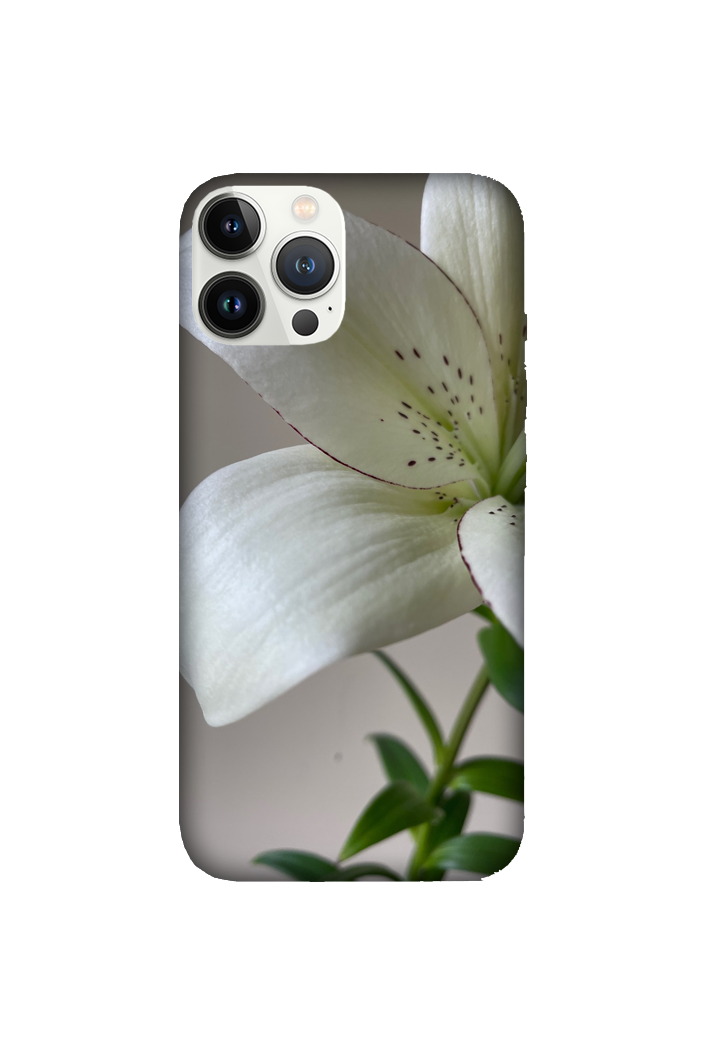 Flowers 054