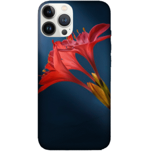 Flowers 058