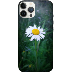 Flowers 061