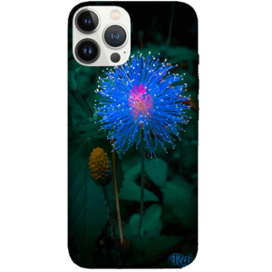 Flowers 062