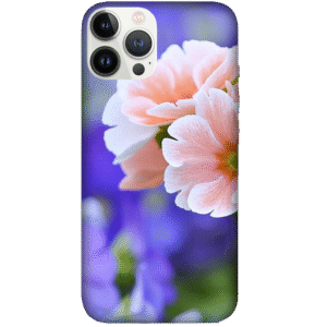 Flowers 063
