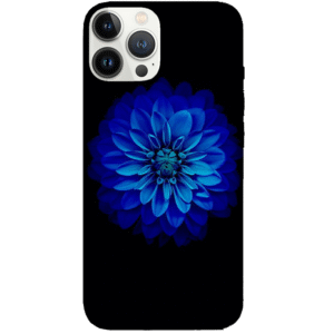 Flowers 065