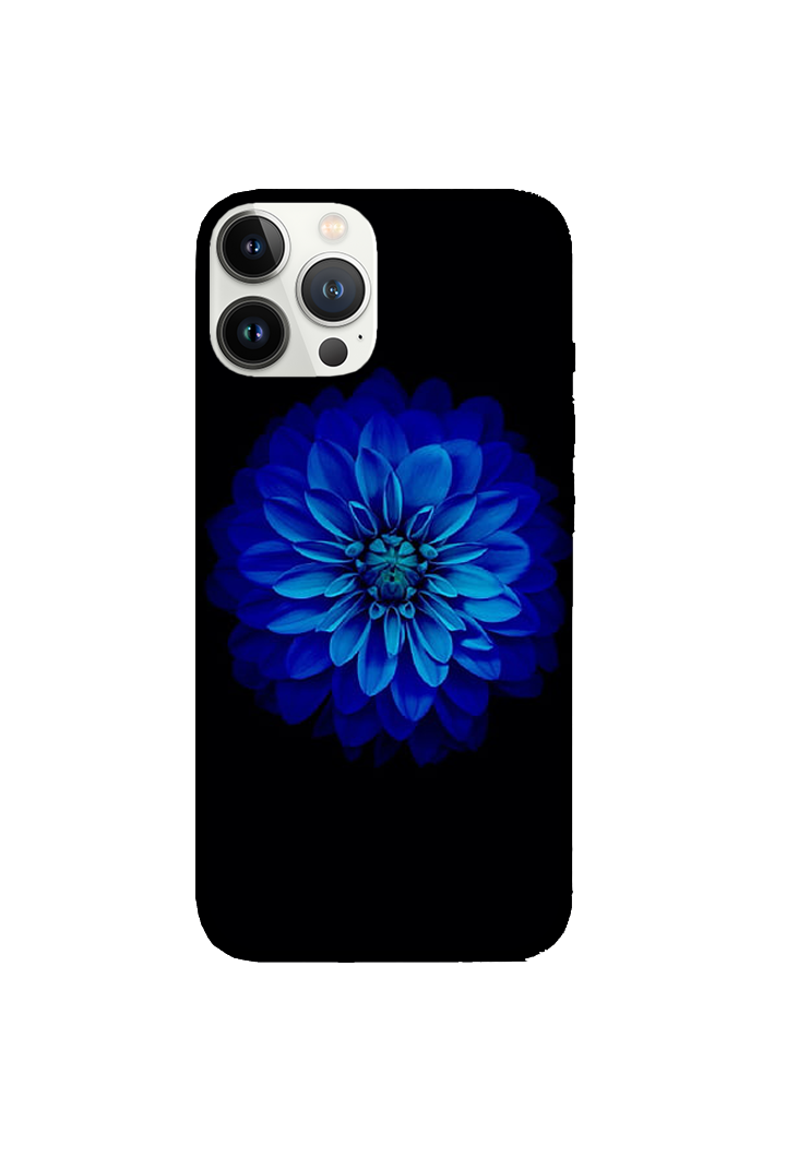 Flowers 065