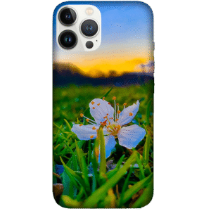 Flowers 066