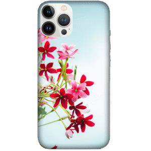 Flowers 067