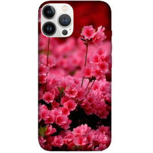 Flowers 068