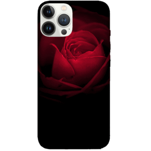Flowers 069