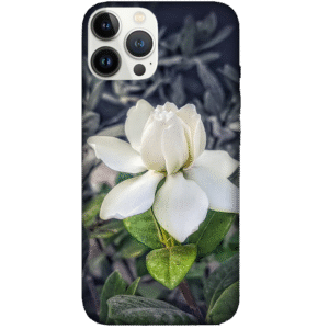 Flowers 070