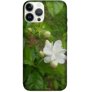 Flowers 071