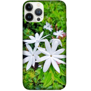 Flowers 072