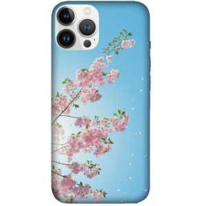 Flowers 074