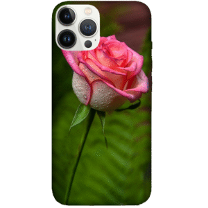 Flowers 077