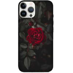 Flowers 078