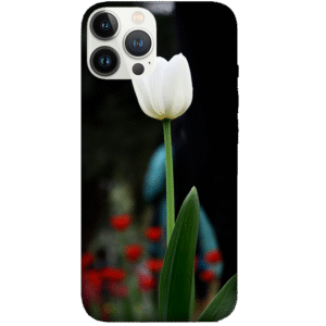 Flowers 008