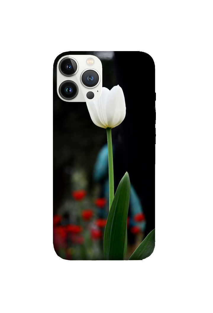 Flowers 008