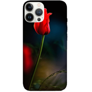 Flowers 081