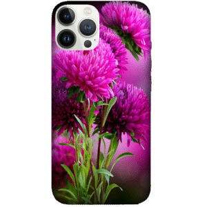 Flowers 082