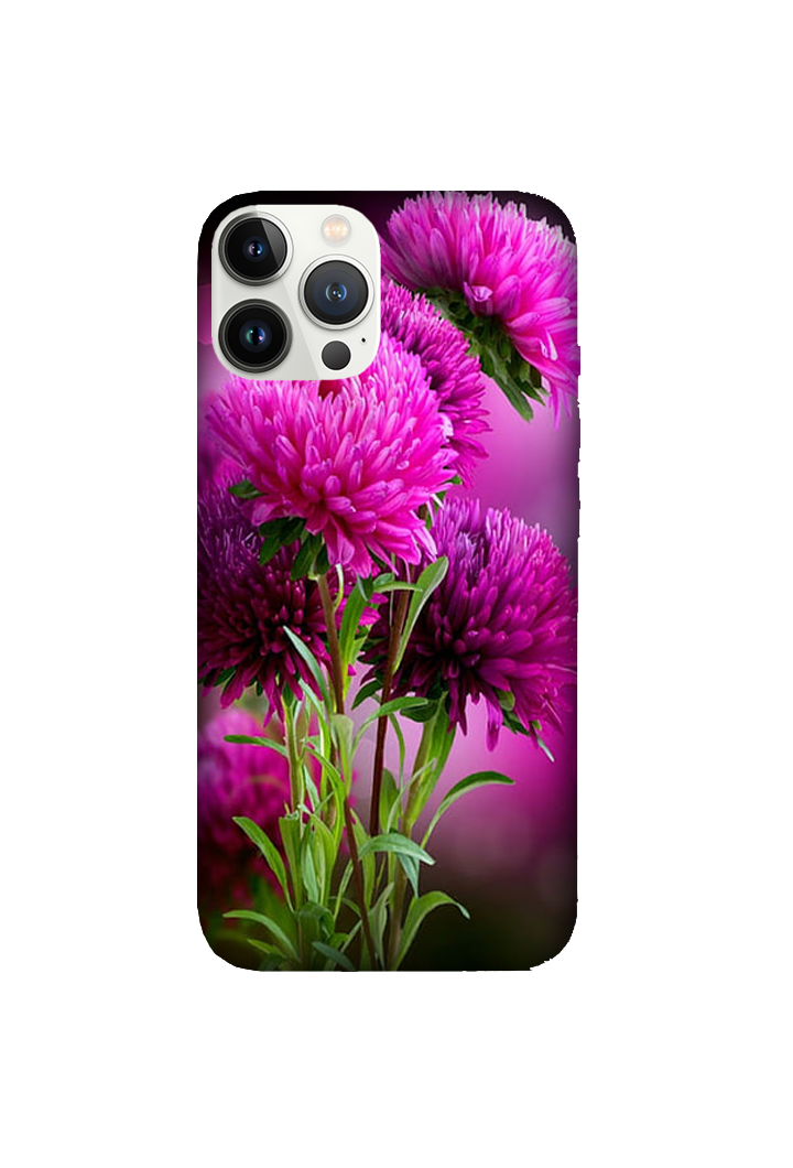 Flowers 082