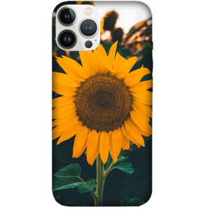 Flowers 084