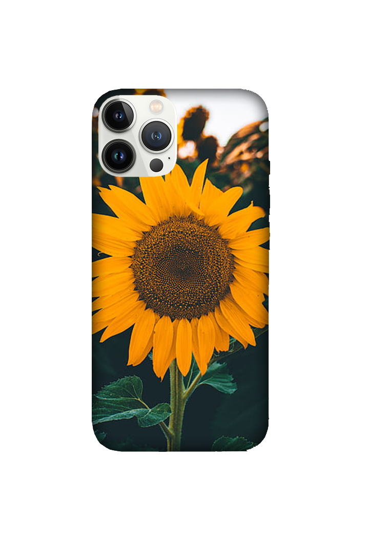 Flowers 084
