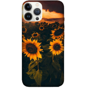 Flowers 085