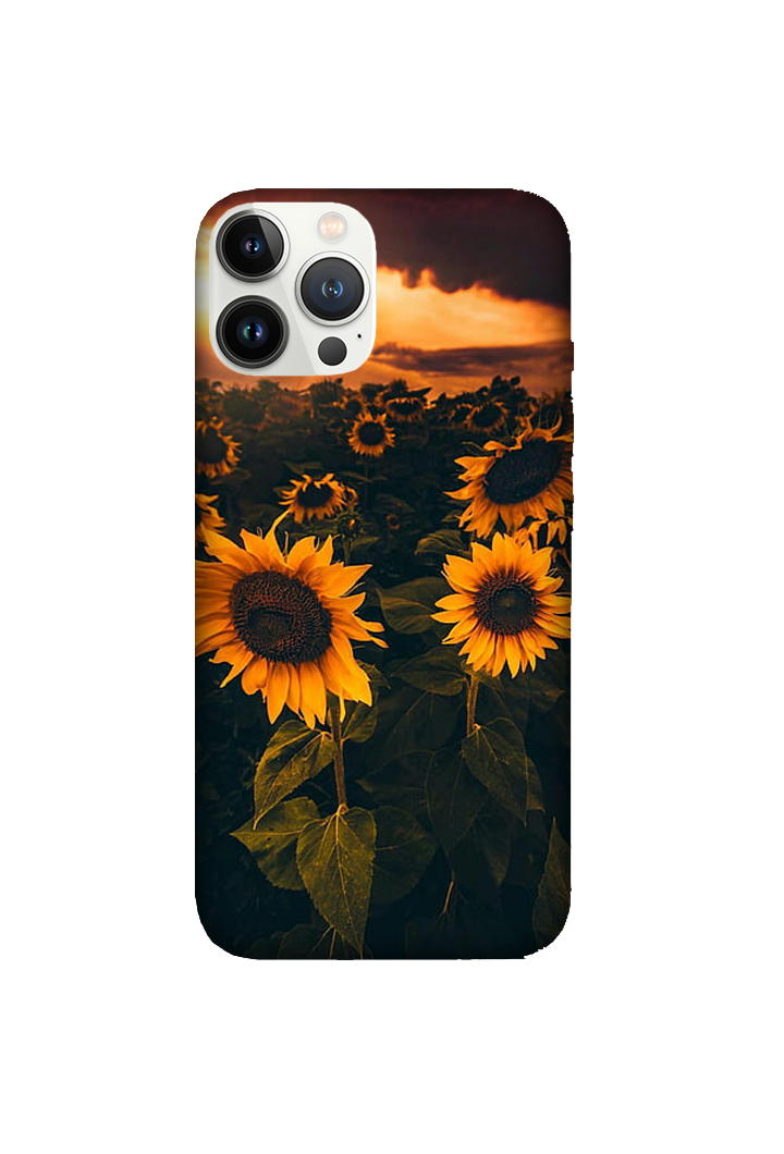 Flowers 085
