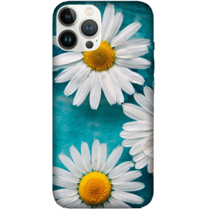Flowers 087