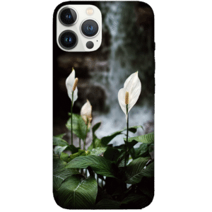 Flowers 088