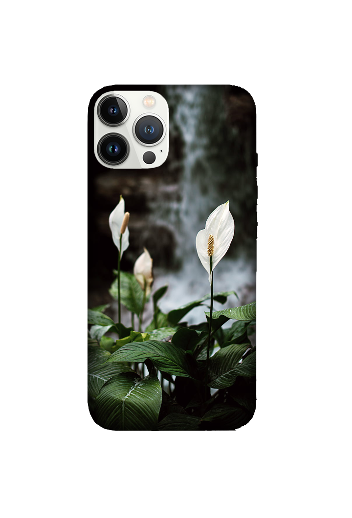 Flowers 088
