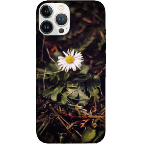 Flowers 009