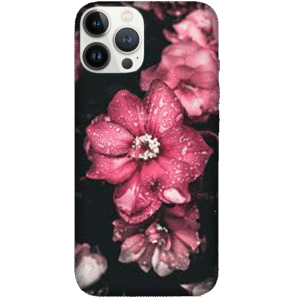 Flowers 094