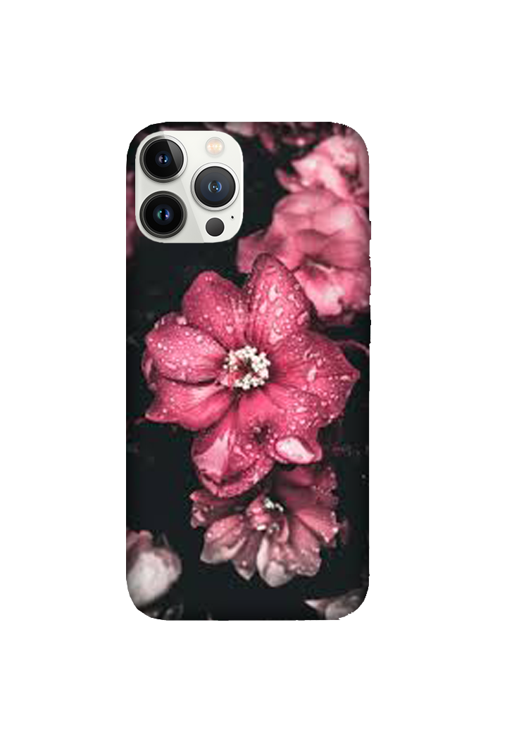 Flowers 094