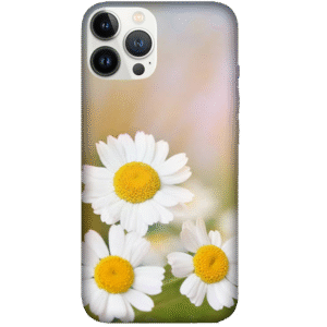 Flowers 095