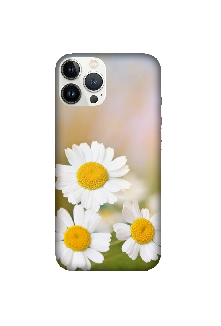 Flowers 095