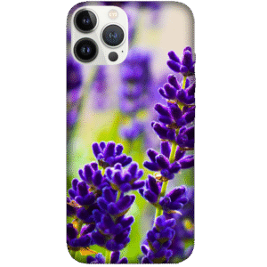 Flowers 096