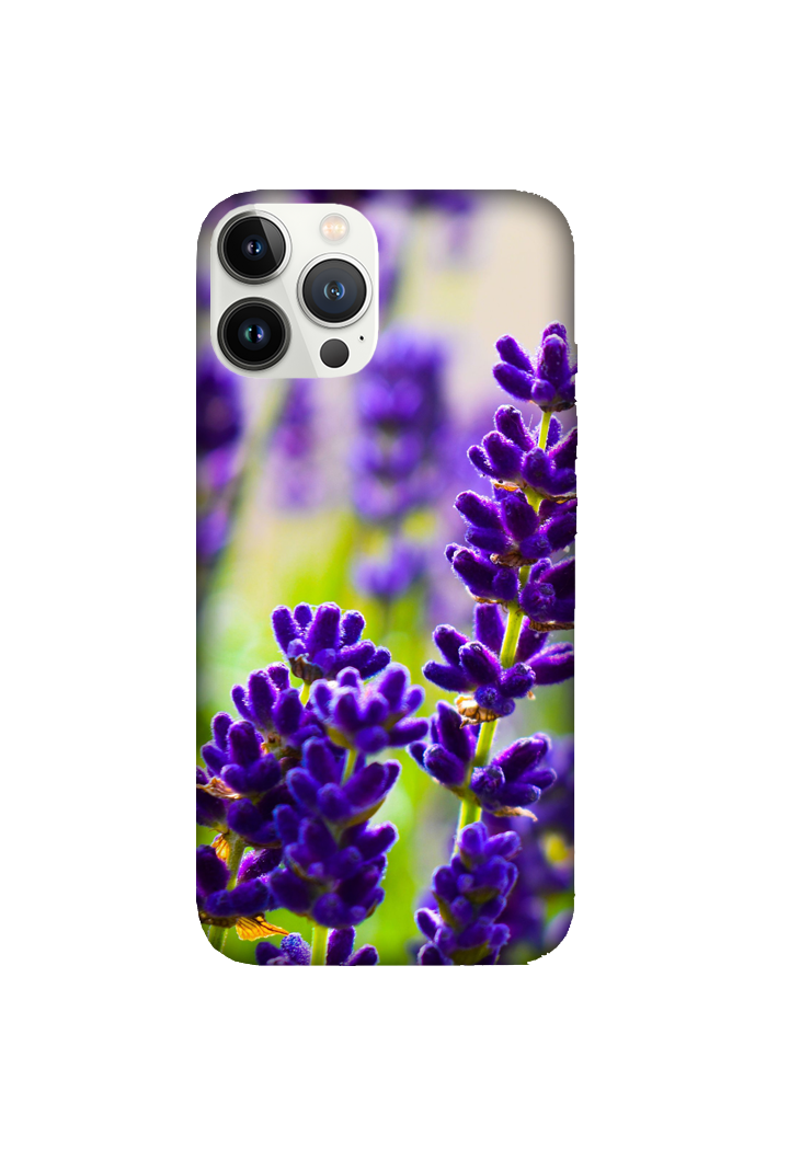 Flowers 096