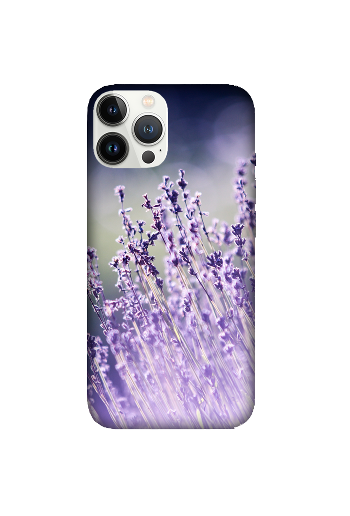 Flowers 097