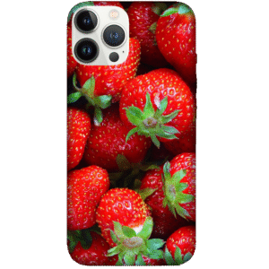 Fruits 019
