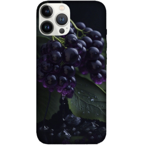 Fruits 002