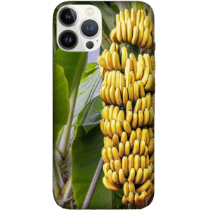 Fruits 039