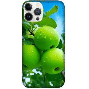 Fruits 041
