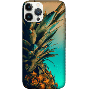 Fruits 049