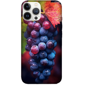 Fruits 008
