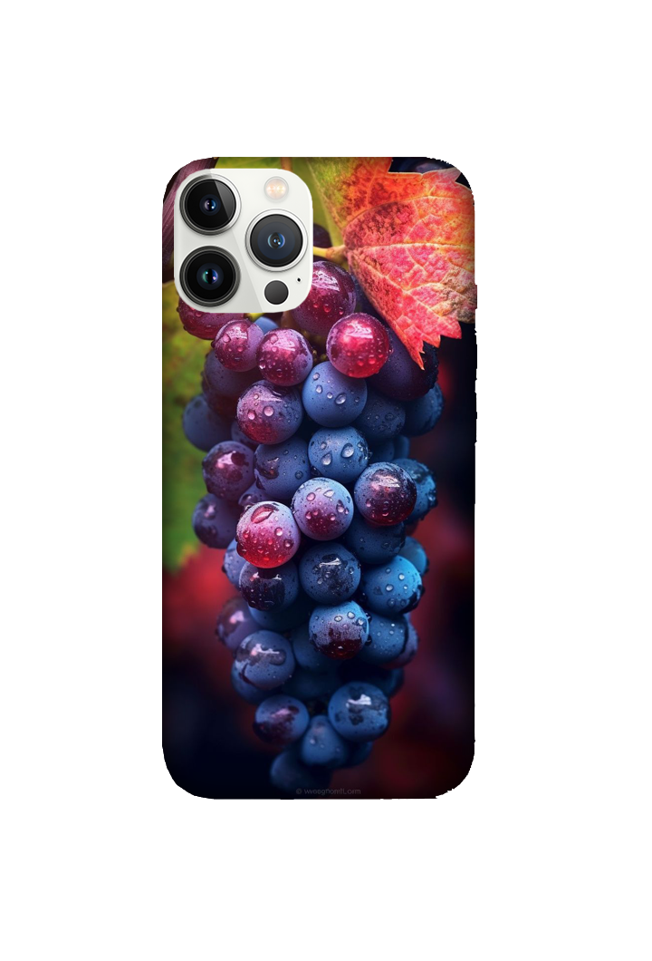 Fruits 008